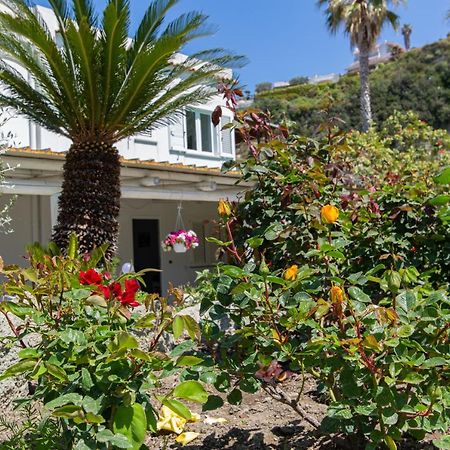 Villa Al Mare - Famiglia Calise Forio di Ischia 외부 사진