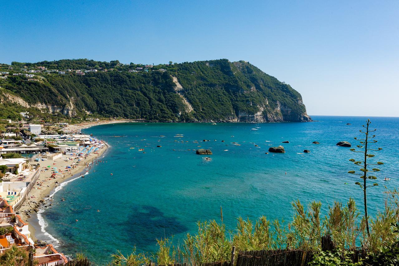 Villa Al Mare - Famiglia Calise Forio di Ischia 외부 사진